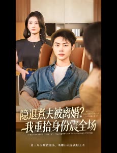 隐退煮夫被离婚?我重拾身份震全场封面
