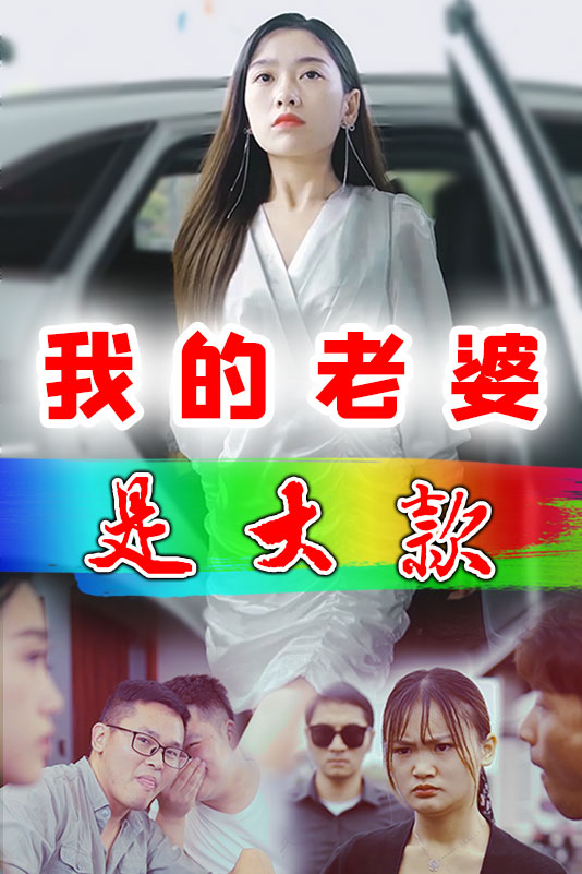 我的老婆是大款封面