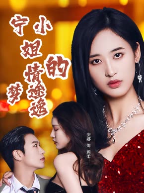 宁小姐的情途逸梦封面
