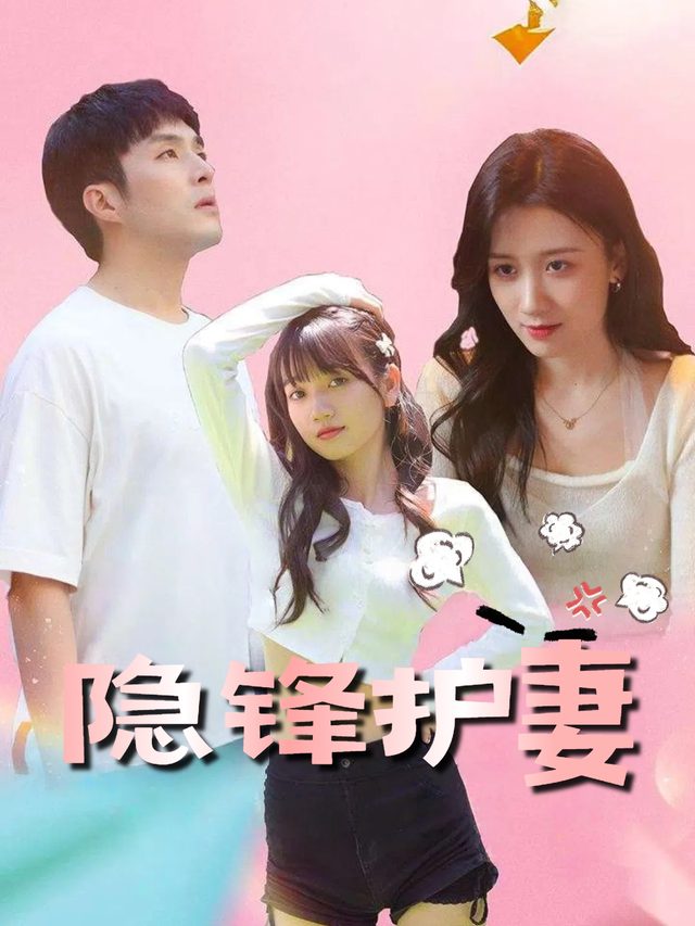 隐锋护妻封面