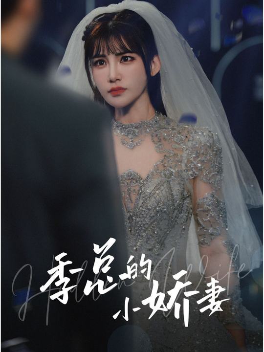 季总的小娇妻封面