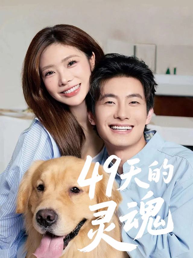 49天的灵魂封面