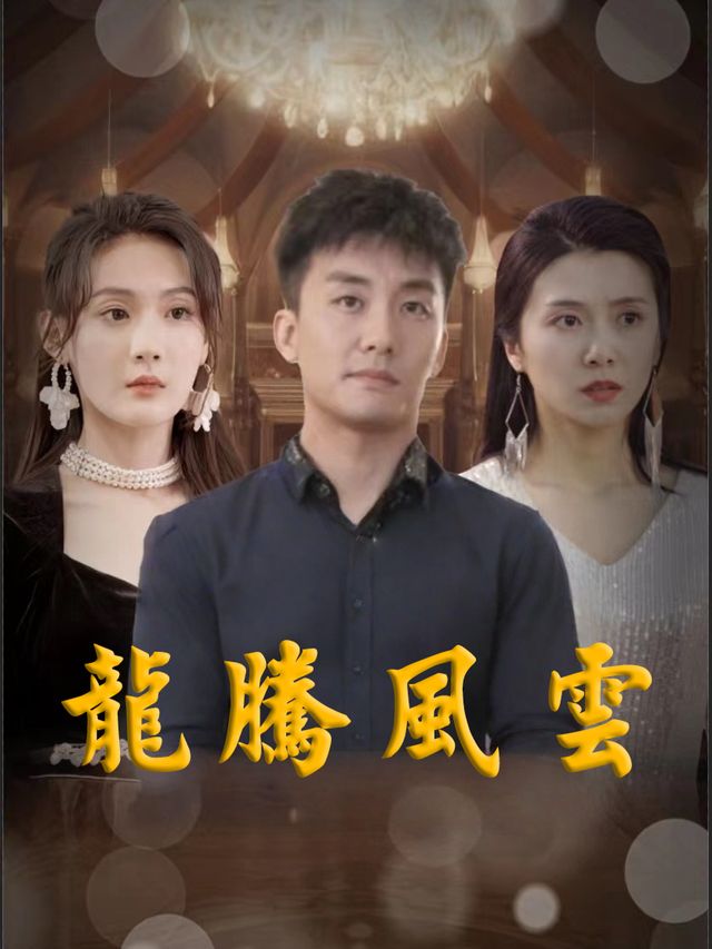 龙腾风云封面