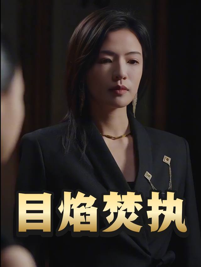目焰焚执封面