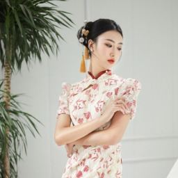 心向阳光封面