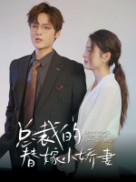 总裁的替嫁小娇妻封面
