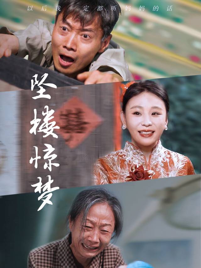 坠楼惊梦封面