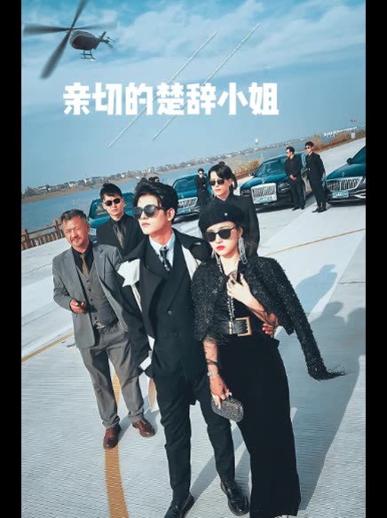 亲切的楚辞小姐封面