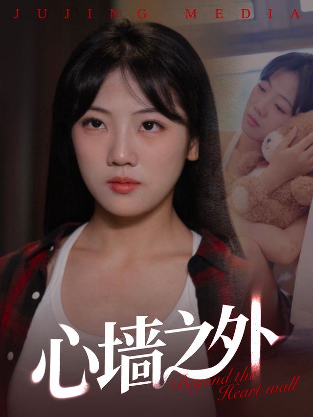 心墙之外封面