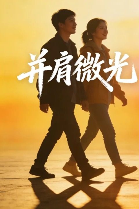 并肩微光封面