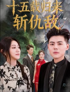 十五载归来斩仇敌封面