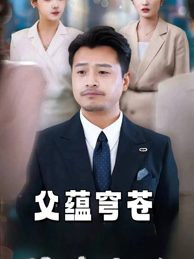 父蕴穹苍封面