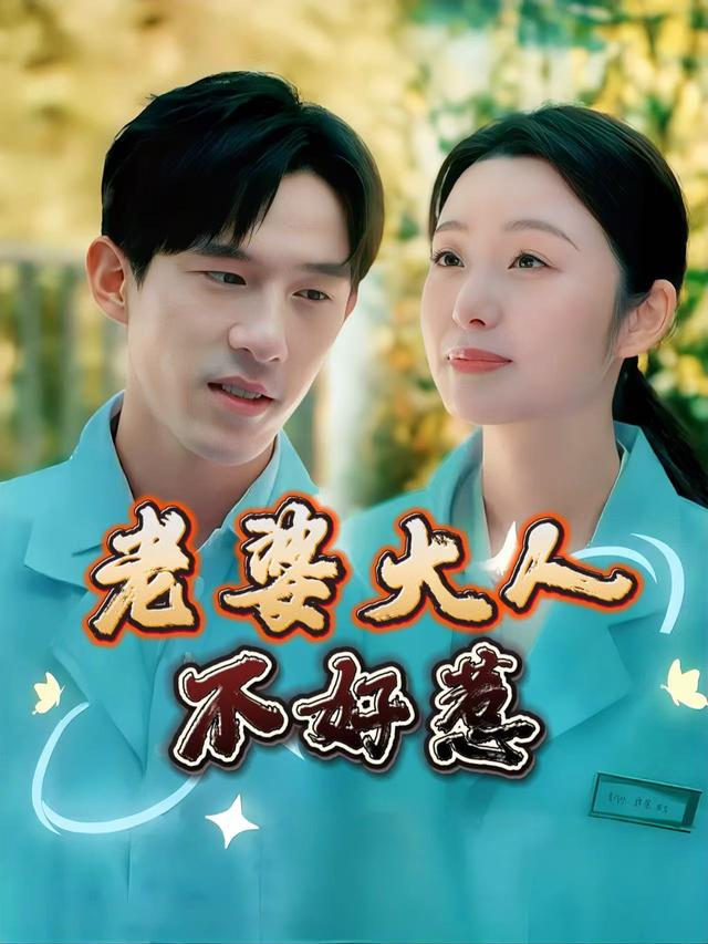 老婆大人不好惹封面