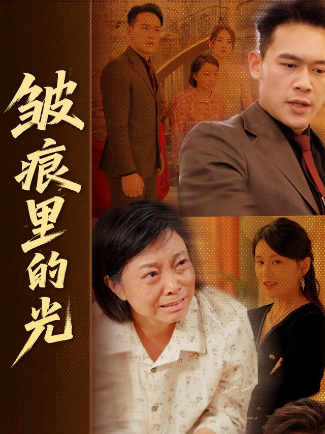 皱痕里的光封面