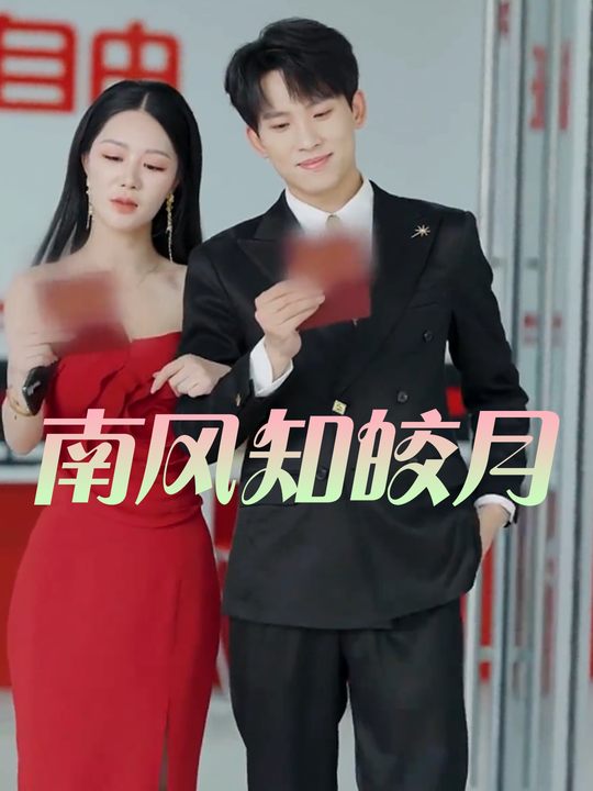 南风知皎月封面