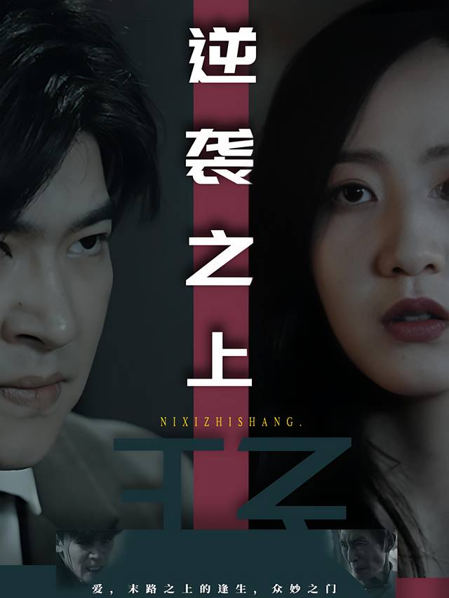 逆袭之上封面