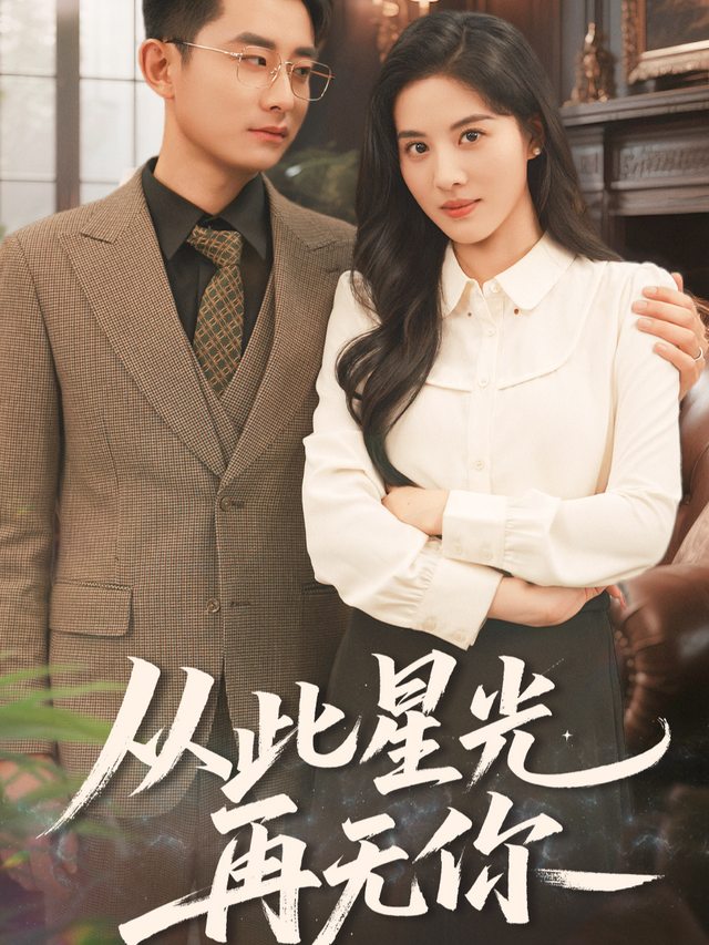 从此星光再无你封面