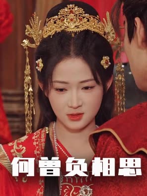 何曾负相思封面