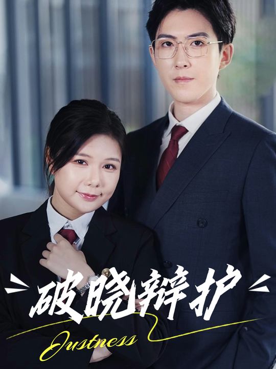 破晓辩护封面