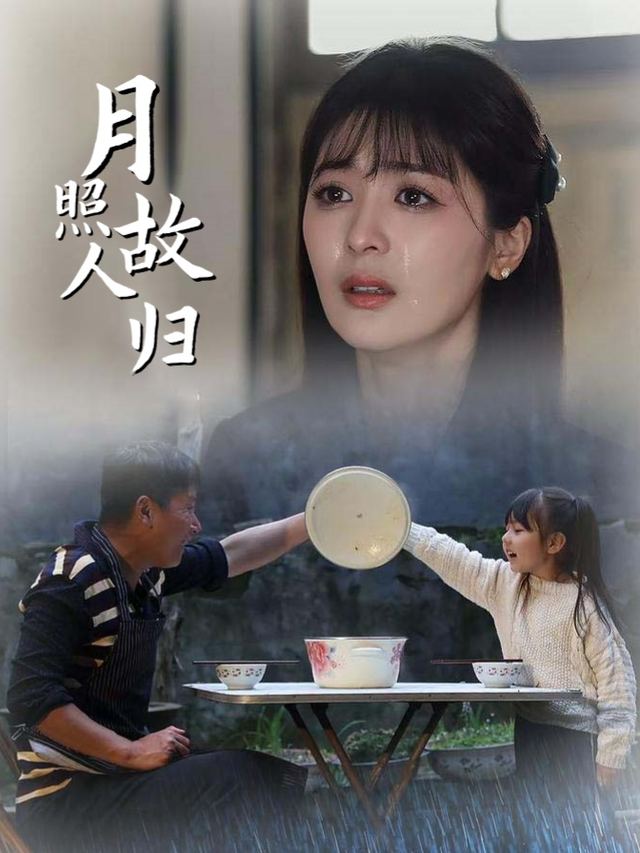 月照故人归封面