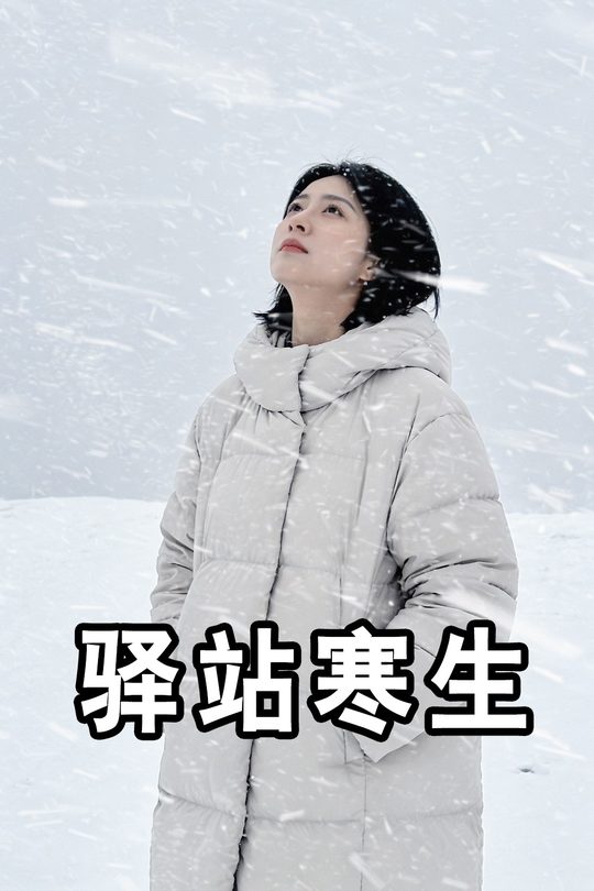驿站寒生封面