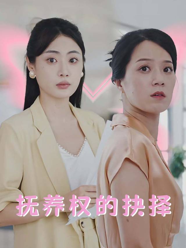 抚养权的抉择封面