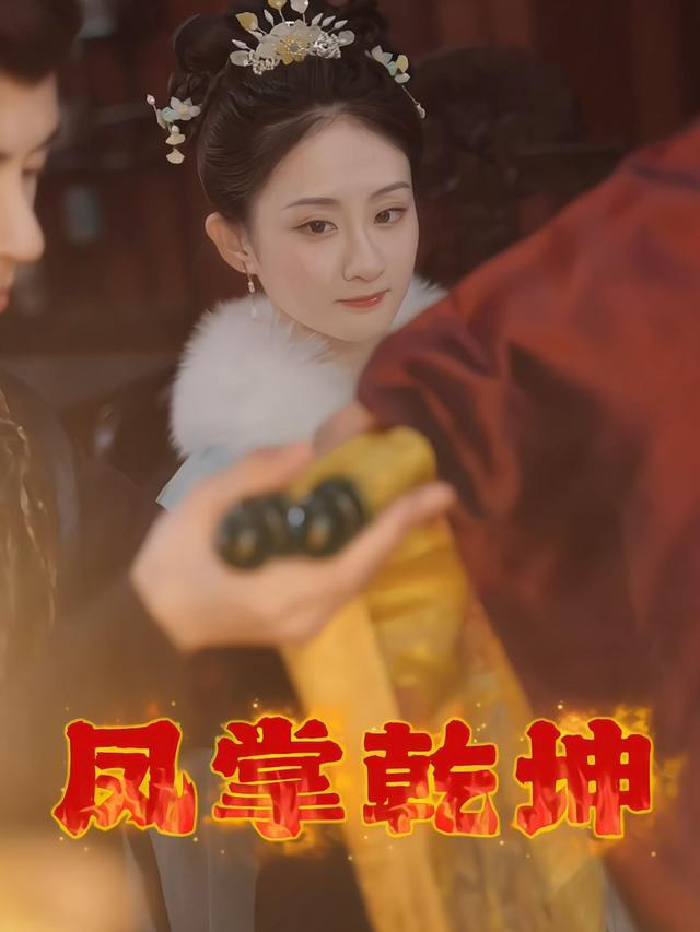 凤掌乾坤封面