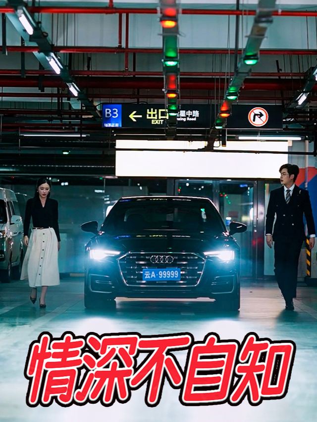 情深不自知封面