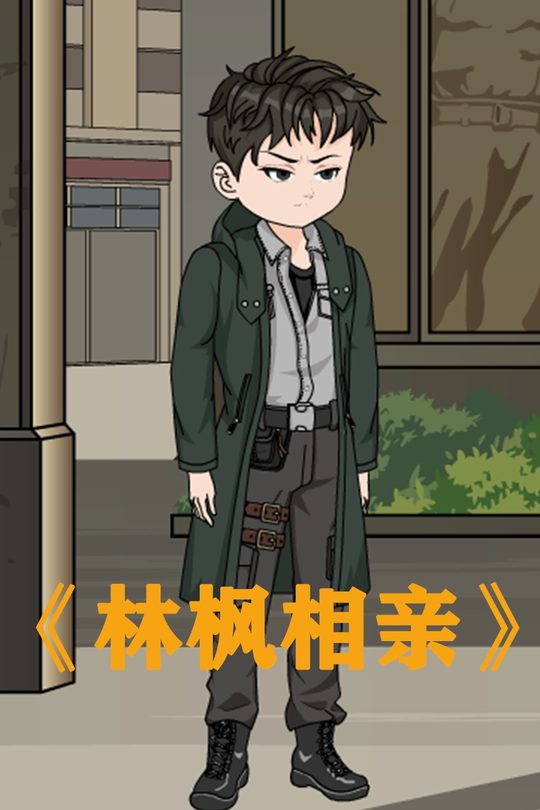 林枫相亲封面
