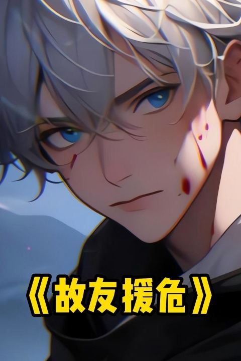 故友援危封面