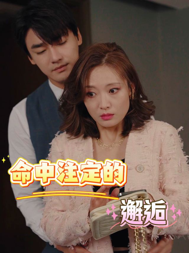 命中注定的邂逅封面