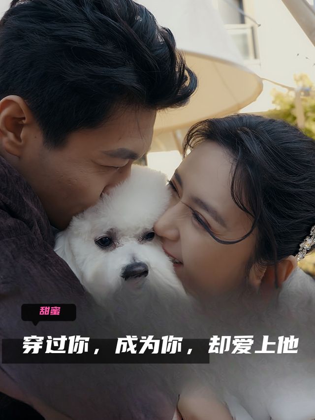 穿过你，成为你，却爱上他封面