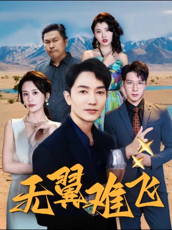 无翼难飞封面