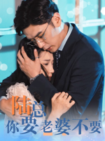 陆总,你要老婆不要封面