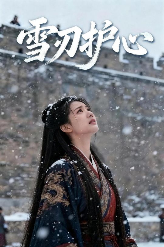 雪刃护心封面