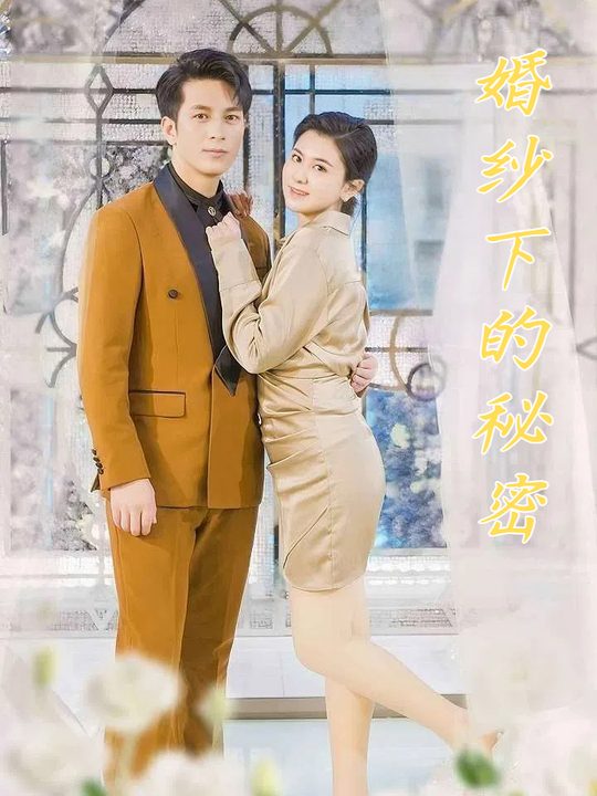 婚纱下的秘密封面