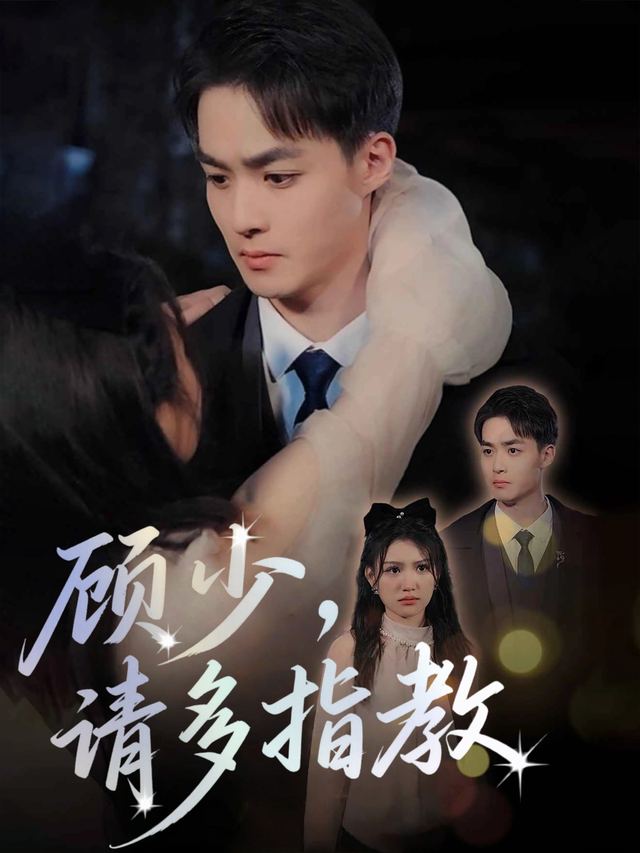 顾少,请多指教封面