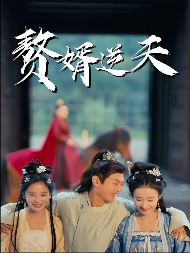 赘婿逆天封面