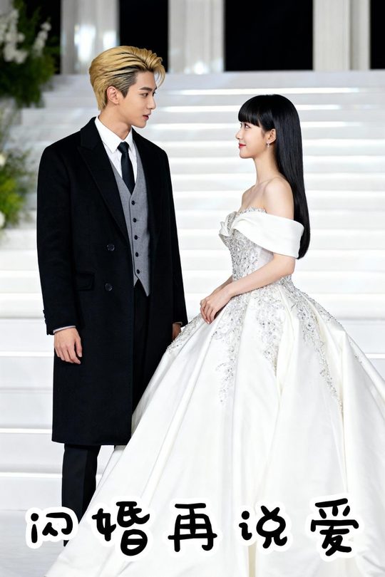闪婚再说爱封面