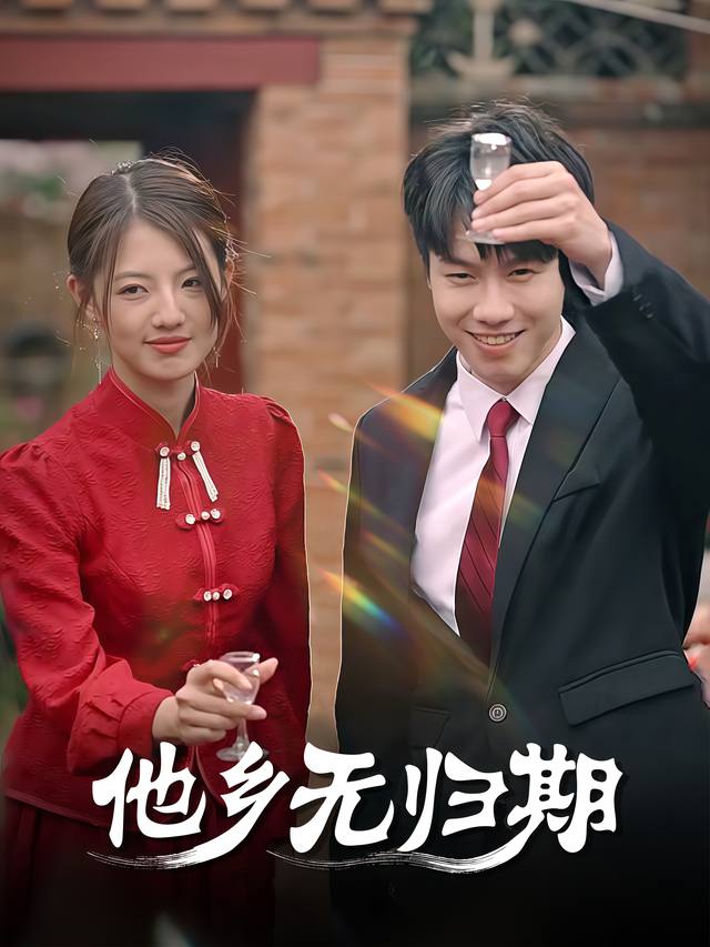 他乡无归期封面
