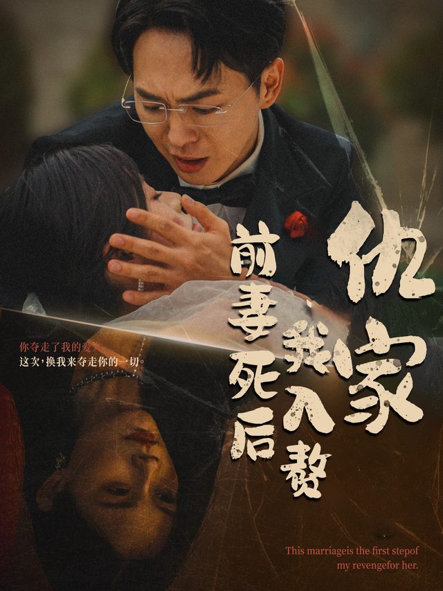 前妻死后我入赘仇家封面