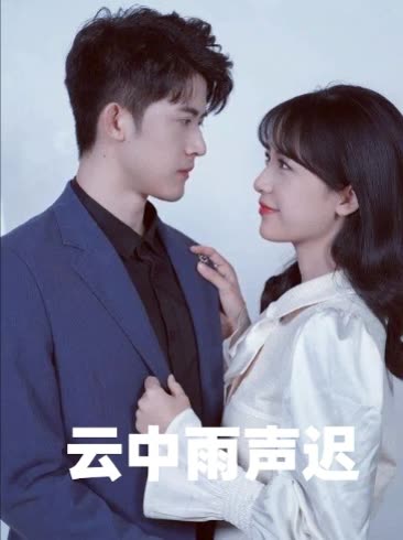 云中雨声迟封面