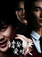 错娶新妻爱对人封面