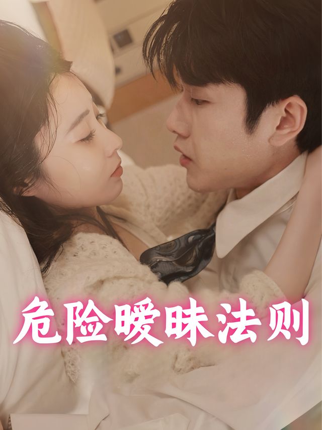 危险暧昧法则封面