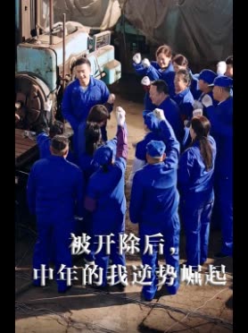 被开除后,中年的我逆势崛起封面