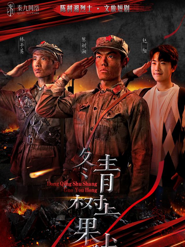 冬青树上果犹红封面