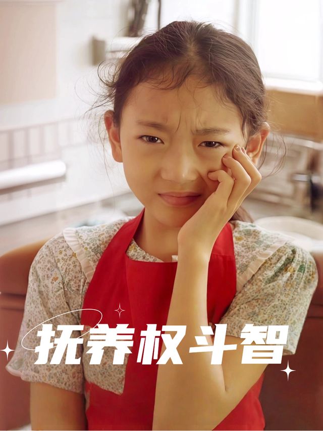 抚养权斗智封面