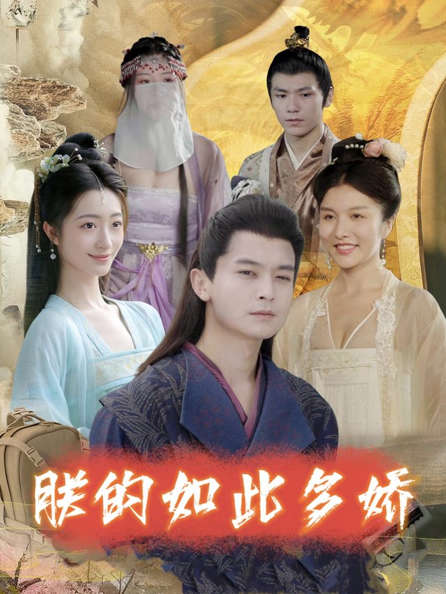 朕的如此多娇封面