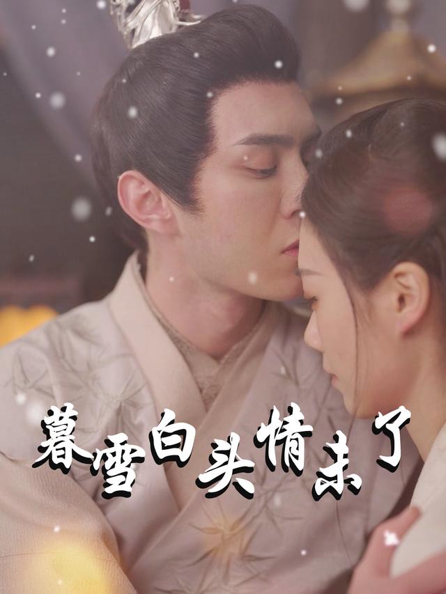 暮雪白头情未了封面