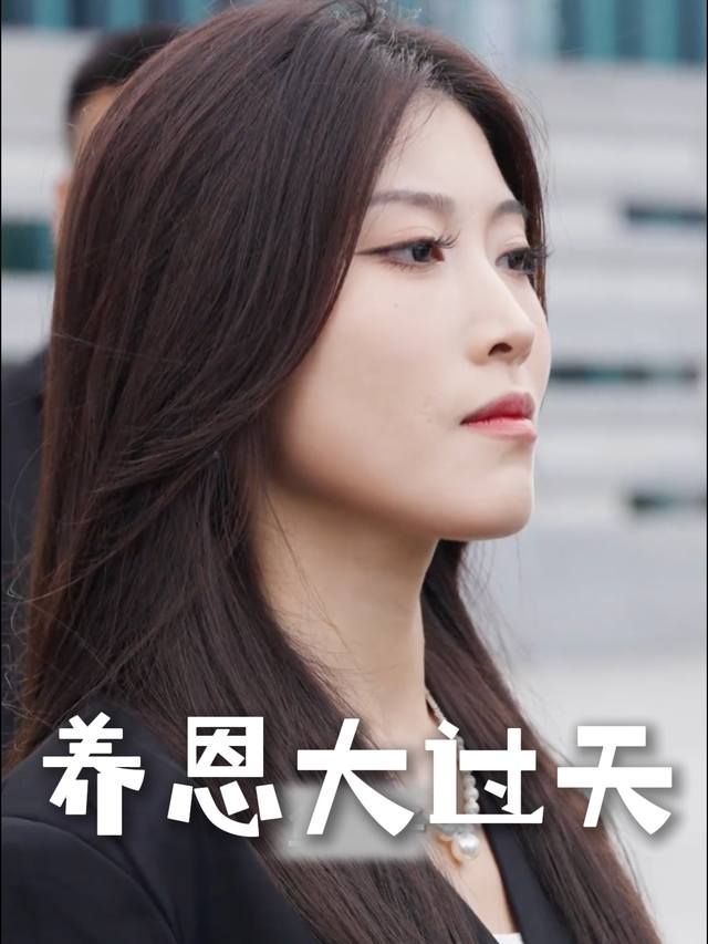 养恩大过天-容量封面